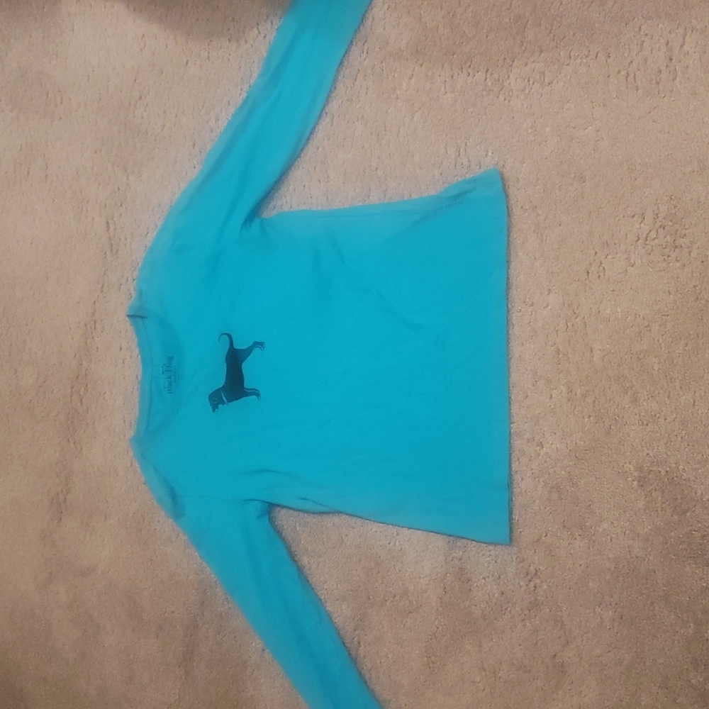 The Black Dog Teal Long Sleeve